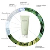 mixsoon Master Gentle Recipe Foam Cleanser-Mild Exfoliation Daily Cleanser, Amino Acid Complex and Cica, Soft Foam for Clear, Moisturized Skin 150ml / 5.07 fl. oz. Korean Glass Skin Care