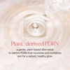 PDRN Collagen Tinted Moisturizer No.17Bare – Skincare Infused Base,1.69floz(No. 50 Haze)